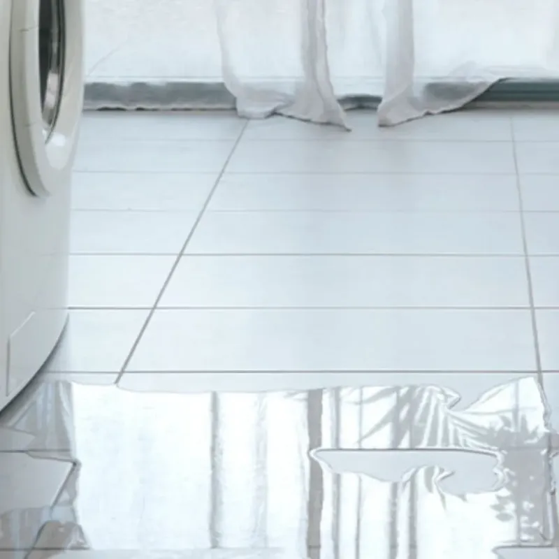 Appliance Leak Cleanup in Cortland, OH
