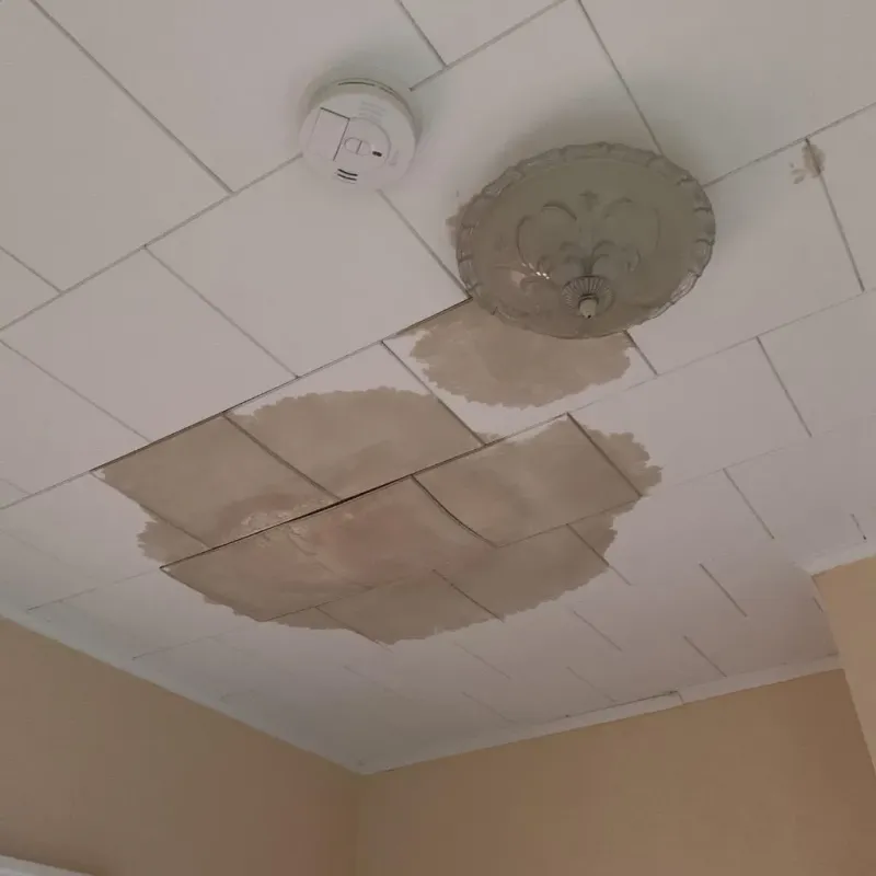 Ceiling Water Damage Repair in Cortland, OH