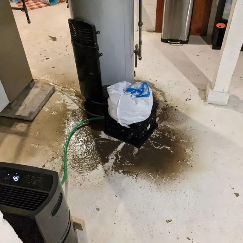 Sewage Backup Cleanup Service in Cortland, OH